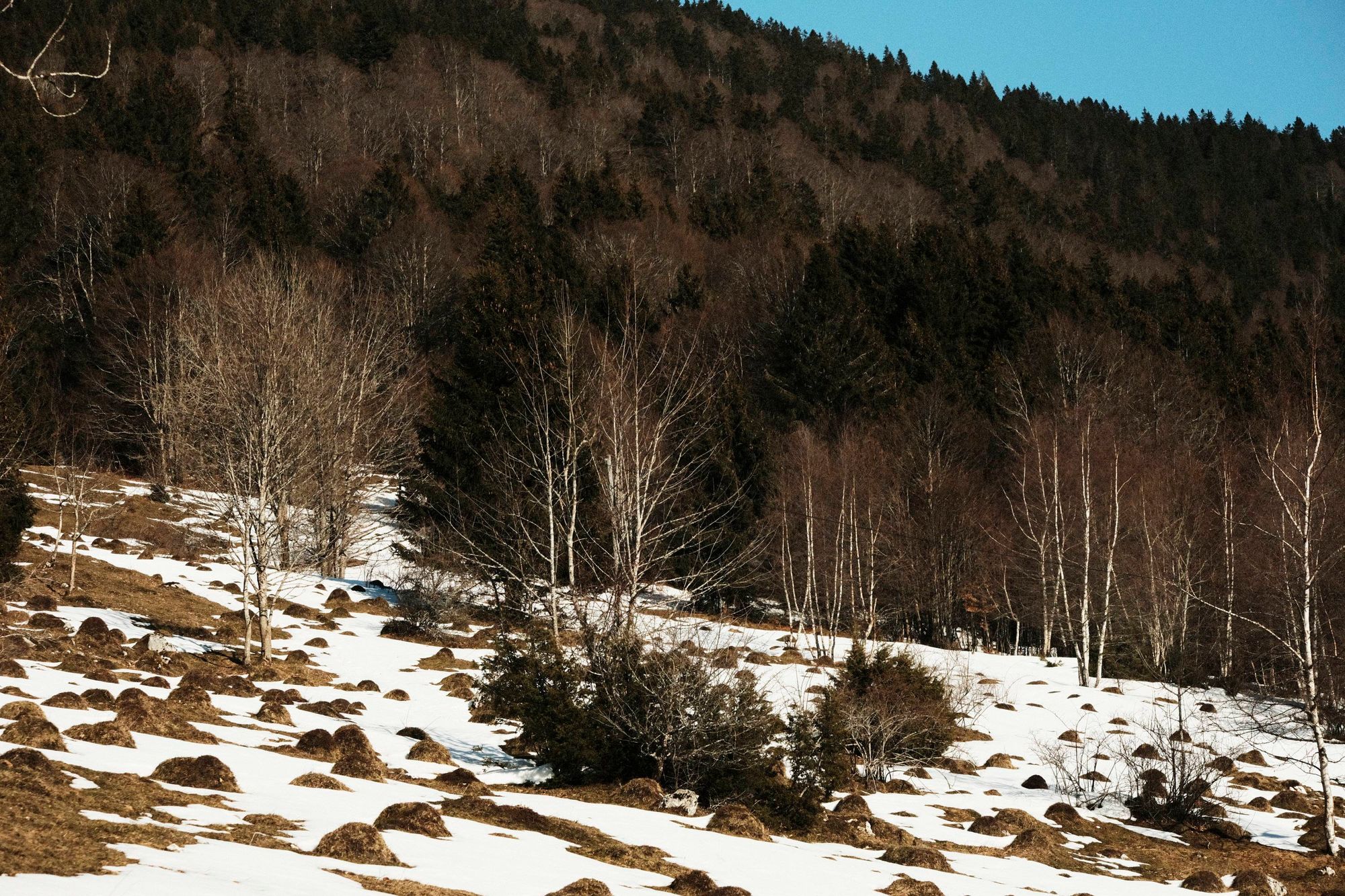 Le Chasseron：每一塊雪，踩起來都不一樣